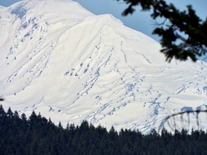 Mt. Adams from the summit of Dog Mountain. Photo by Tim Graves. Creative Commons License BY-NC-ND 3.0 https://creativecommons.org/licenses/by-nc-nd/3.0/us/